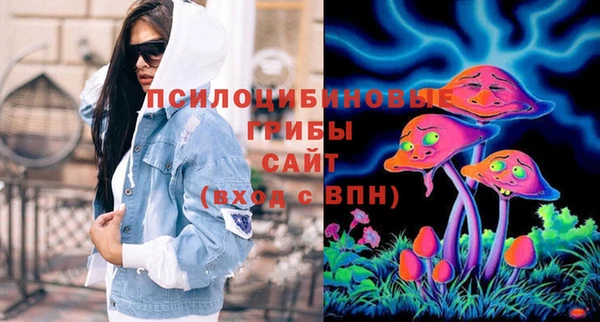 сатива Алексин