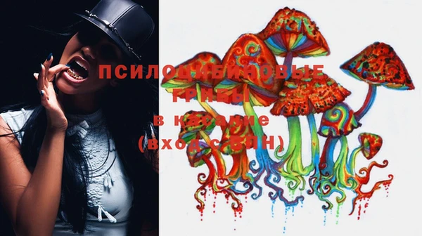 таблы Алзамай